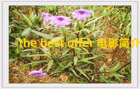 the best offer 电影简介 the best offer影评
